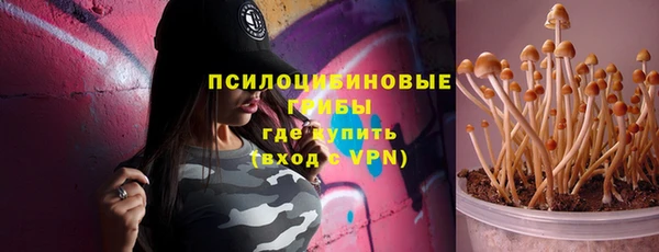 мдпв Корсаков