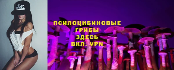 мдпв Корсаков