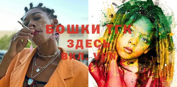 мдпв Корсаков