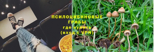 мдпв Корсаков