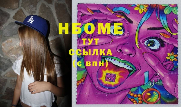 дживик Козельск