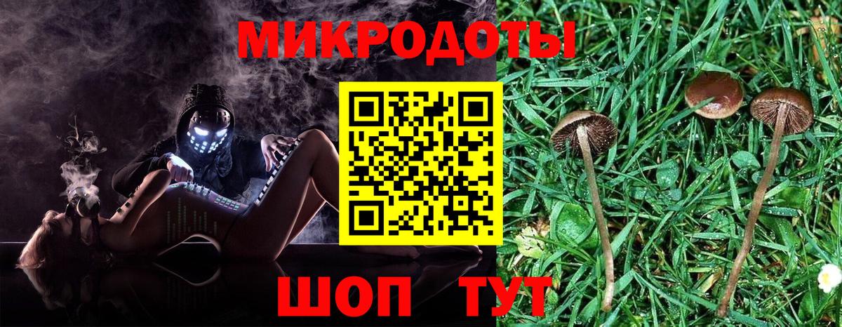 Псилоцибиновые грибы прущие грибы Урай